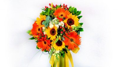 FRAGRANCE-ΠΑΠΑΘΕΟΔΩΡΟΥ ΡΗΓΑΙΝΑ