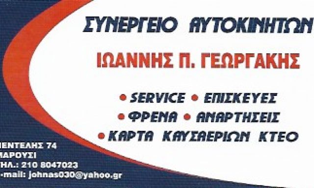 ΓΕΩΡΓΑΚΗΣ ΙΩΑΝΝΗΣ