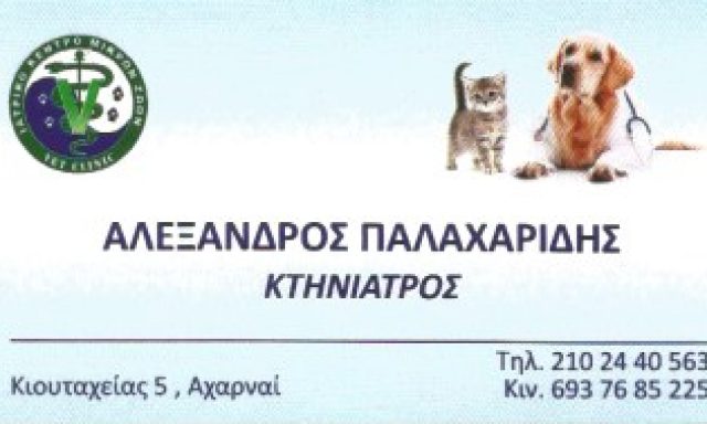 ΠΑΛΑΧΑΡΙΔΗΣ ΑΛΕΞΑΝΔΡΟΣ