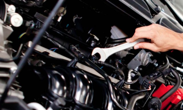 ΣΤΑΘΗΣ ΘΕΟΔΩΡΟΣ