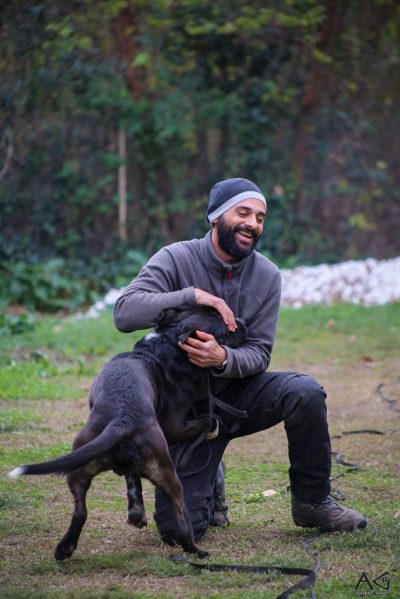 DOGSKILLS – ΧΡΗΣΤΟΣ ΤΑΡΑΜΠΕΚΗΣ