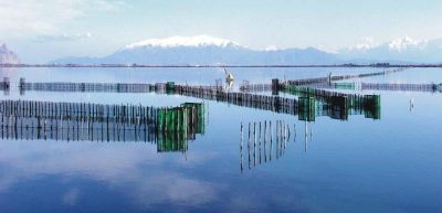 ΑΓΡΟΤΙΚΟΣ ΑΛΙΕΥΤΙΚΟΣ ΣΥΝΕΤΑΙΡΙΣΜΟΣ ΛΙΜΝΟΘΑΛΑΣΣΩΝ ΚΕΡΑΜΩΤΗΣ ΚΑΒΑΛΑΣ