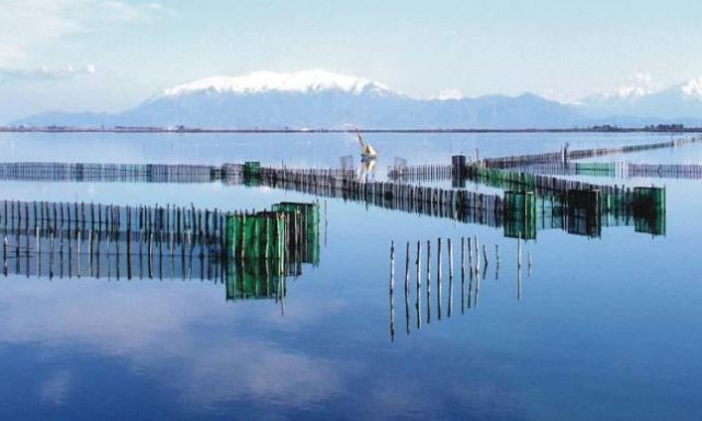 ΑΓΡΟΤΙΚΟΣ ΑΛΙΕΥΤΙΚΟΣ ΣΥΝΕΤΑΙΡΙΣΜΟΣ ΛΙΜΝΟΘΑΛΑΣΣΩΝ ΚΕΡΑΜΩΤΗΣ ΚΑΒΑΛΑΣ