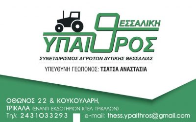ΘΕΣΣΑΛΙΚΗ ΥΠΑΙΘΡΟΣ