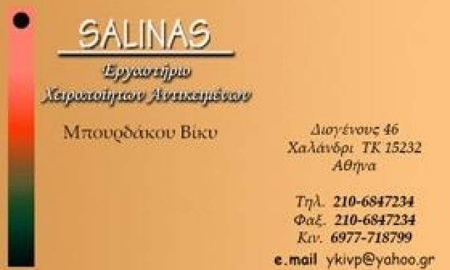 SALINAS (Μπουρδάκου Παρασκευή)