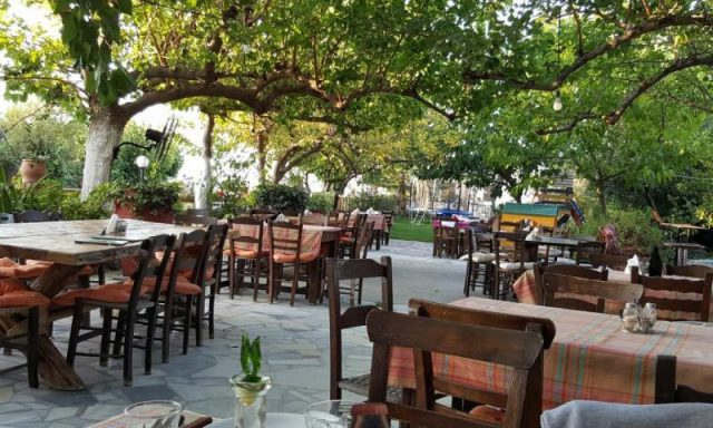 ΦΑΡΑΓΓΙ- ΝΙΚΟΛΑΟΣ ΠΑΛΑΣΣΗΣ ΧΑΡΑΛΑΜΠΟΣ ΠΑΛΑΣΣΗΣ