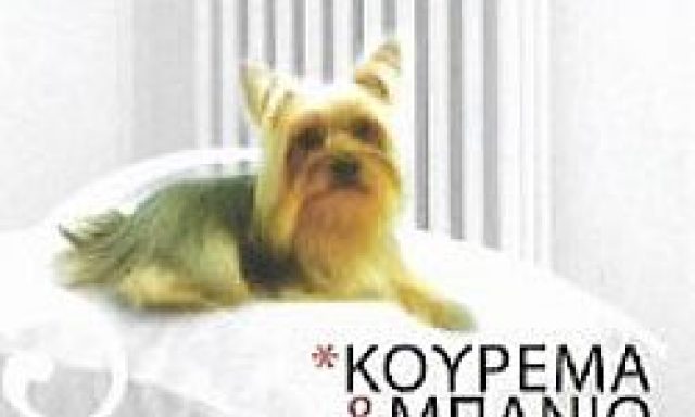 PETSTOP ΣΤΑΣΗ ΖΩΗΣ-ΒΑΖΑΙΟΥ ΔΗΜΗΤΡΑ