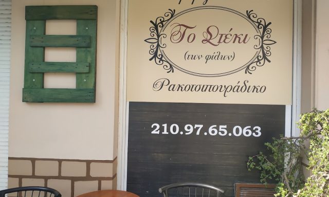 ΤΟ ΣΤΕΚΙ (Δάρρα Νικολέττα Ν.)