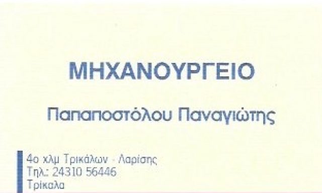 ΠΑΠΑΠΟΣΤΟΛΟΥ ΠΑΝΑΓΙΩΤΗΣ