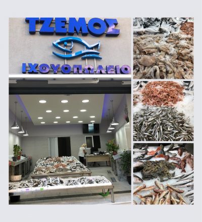 ΤΖΕΜΟΥ ΜΑΡΙΑ Ι.