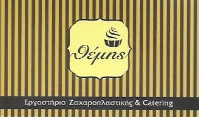 ΘΕΜΗΣ – ΠΑΝΑΓΙΔΗΣ ΘΕΜΙΣΤΟΚΛΗΣ