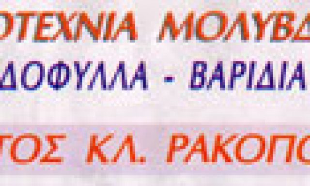 ΡΑΚΟΠΟΥΛΟΣ ΧΡΗΣΤΟΣ