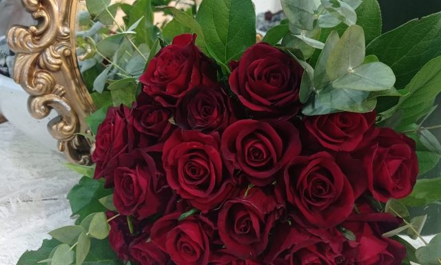 ΑΖΑΛΕΑ-ΠΛΟΥΜΗ ΧΡΙΣΤΙΝΑ