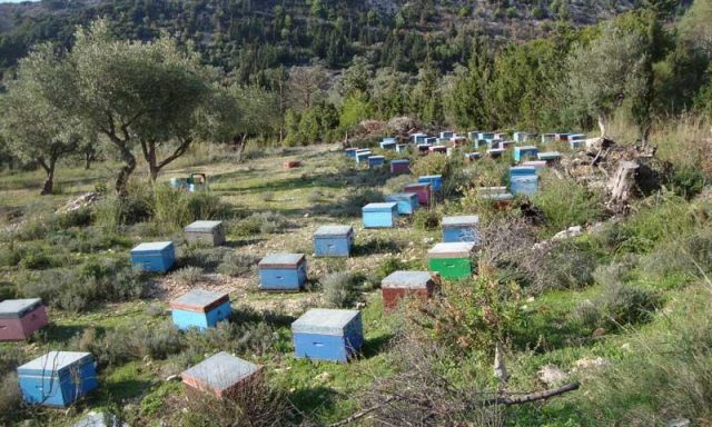 ΡΟΜΠΟΤΗ ΜΑΥΡΑ ΙΕΡΕΑΣ ΚΩΝΣΤΑΝΤΙΝΟΣ ΚΑΤΩΠΟΔΗΣ
