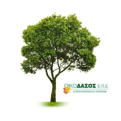 ΟΙΚΟΔΑΣΟΣ ΕΤΑΙΡΙΑ ΜΕΛΕΤΩΝ ΚΑΙ ΥΠΗΡΕΣΙΩΝ ΕΠΕ