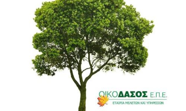 ΟΙΚΟΔΑΣΟΣ ΕΤΑΙΡΙΑ ΜΕΛΕΤΩΝ ΚΑΙ ΥΠΗΡΕΣΙΩΝ ΕΠΕ