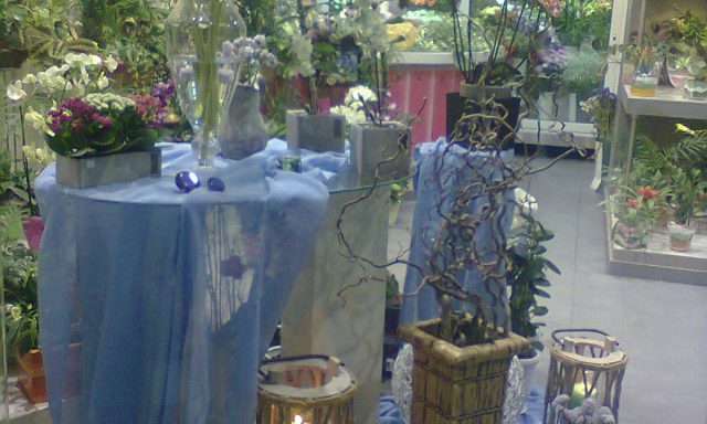 ΑΖΑΛΕΑ – ΓΡΑΨΑ ΕΥΑΓΓΕΛΙΑ ΚΑΙ ΣΟΦΙΑ ΟΕ