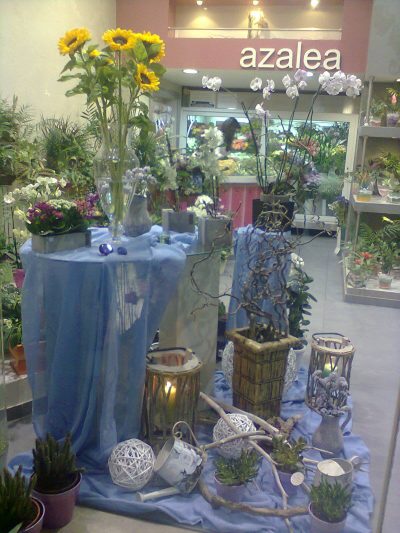 ΑΖΑΛΕΑ – ΓΡΑΨΑ ΕΥΑΓΓΕΛΙΑ ΚΑΙ ΣΟΦΙΑ ΟΕ