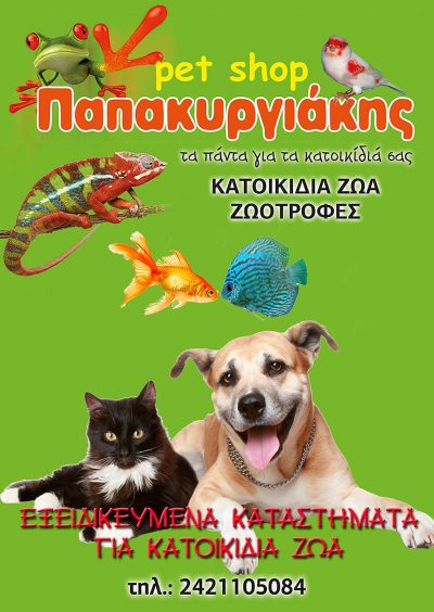 ΠΑΠΑΚΥΡΓΙΑΚΗΣ (Κούκλη Βασιλική Ν.)