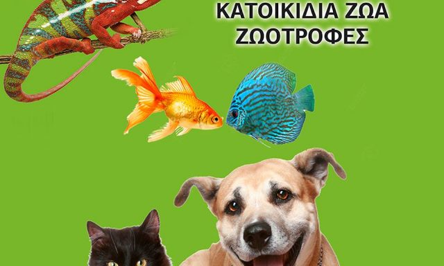 ΠΑΠΑΚΥΡΓΙΑΚΗΣ (Κούκλη Βασιλική Ν.)