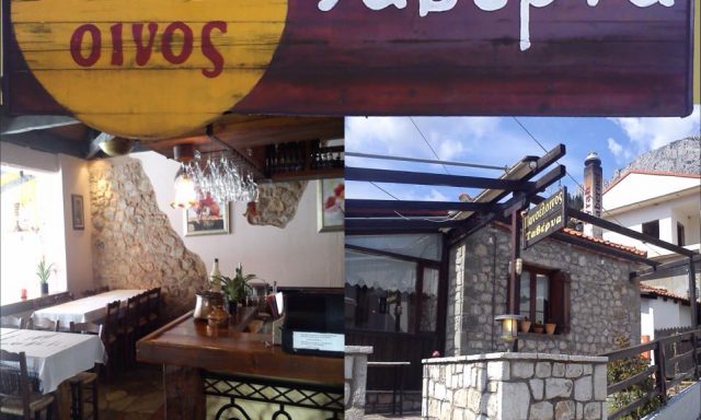 ΠΑΝΣΕΛΟΙΝΟΣ – ΝΤΟΒΑ ΕΥΑΓΓΕΛΙΑ