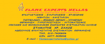 FLAME EXPERTS