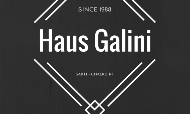 HAUS GALINI – ΒΟΥΔΟΥΡΗΣ ΧΡΗΣΤΟΣ
