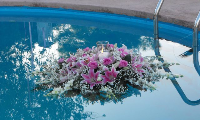 NATURA – ΓΚΕΡΖΕΛΗ ΑΝΑΣΤΑΣΙΑ