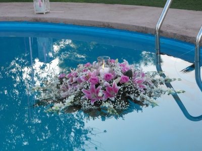 NATURA – ΓΚΕΡΖΕΛΗ ΑΝΑΣΤΑΣΙΑ