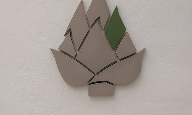 ΑΓΚΙΝΑΡΑ – ΒΙΔΑΛΗΣ ΓΙΑΝΝΗΣ