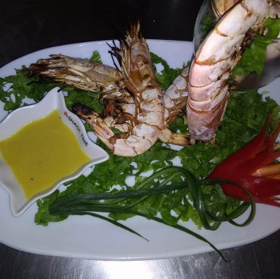 ΠΑΛΙΑ ΜΕΡΑΚΙΑ- ΣΟΦΟΣ ΣΤΥΛΙΑΝΟΣ