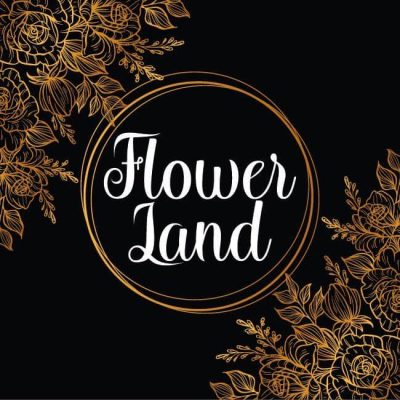 FLOWERLAND – AGAMIROV LEVAN