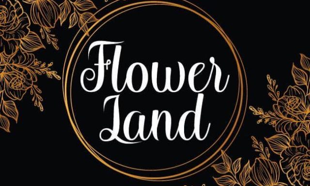 FLOWERLAND – AGAMIROV LEVAN