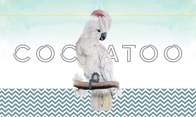 COCKATOO ALL DAY LOUNGE – ΜΑΝΩΛΗΣ ΛΑΜΠΡΟΣ
