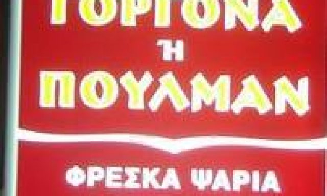 ΓΟΡΓΟΝΑ ‘Η ΠΟΥΛΜΑΝ – ΓΙΑΝΝΙΟΣ Ν. ΗΛΙΑΣ