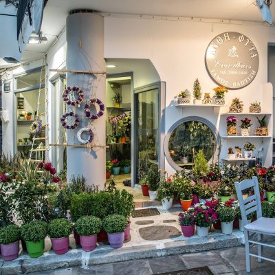 ΕΝΤΕΛΒΑΪΣ – ΦΩΣΚΟΛΟΥ ΙΩΑΝΝΑ