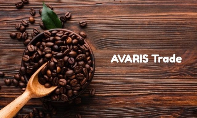 AVARIS TRADE MONΟΠΡΟΣΩΠΗ IKE