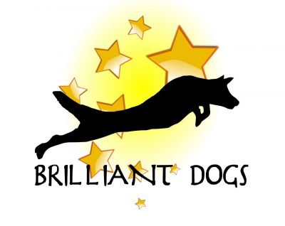 BRILLIANT DOGS
