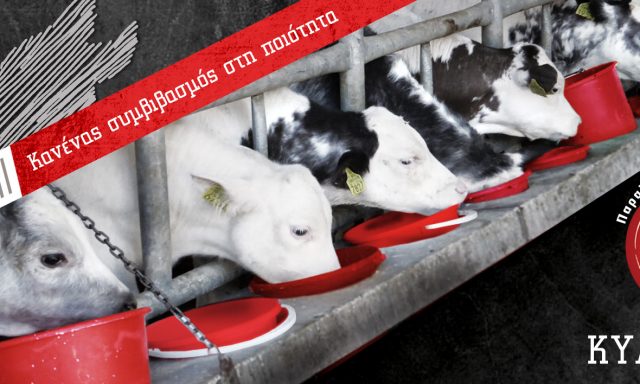 ΚΥΛΕΡΤΖΗΣ Α & Γ ΙΚΕ