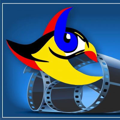 FOCUS STUDIO – ΑΝΔΡΕΑΣ ΑΠΕΣΣΟΣ