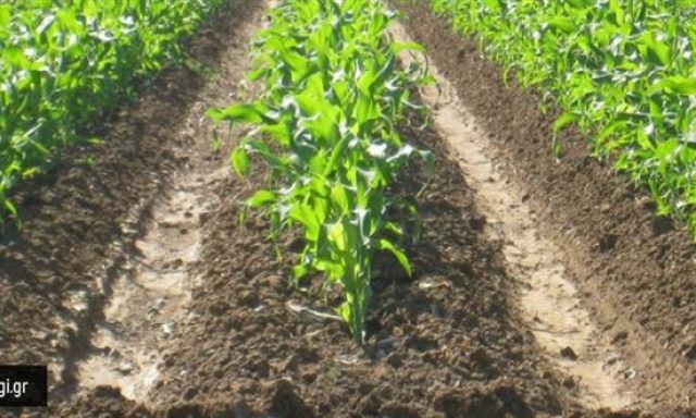 ΚΛΩΝΑΡΙΔΗΣ ΓΕΩΡΓΙΟΣ & ΣΙΑ ΕΕ