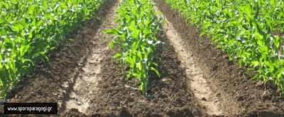 ΚΛΩΝΑΡΙΔΗΣ ΓΕΩΡΓΙΟΣ &amp; ΣΙΑ ΕΕ