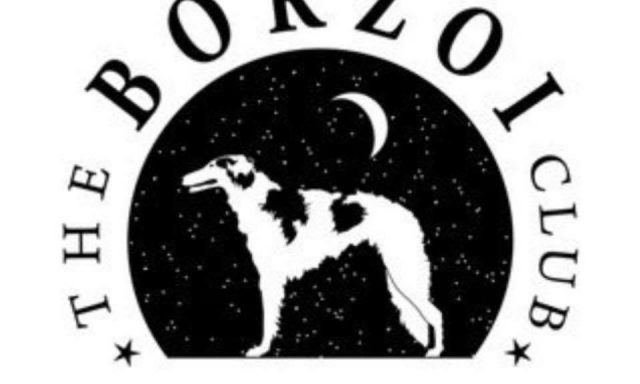 THE BORZOI
