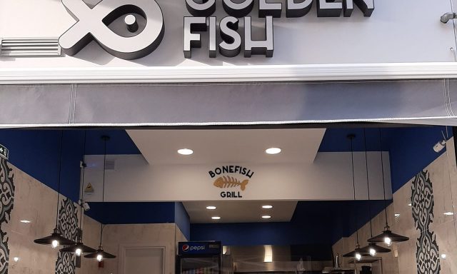 GOLDEN FISH (Γκαγιάννη Αντιγόνη Γ.)