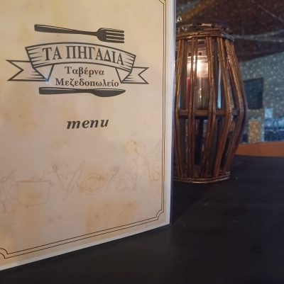 ΤΑ ΠΗΓΑΔΙΑ – ΤΣΩΝΗ ΔΗΜΗΤΡΑ