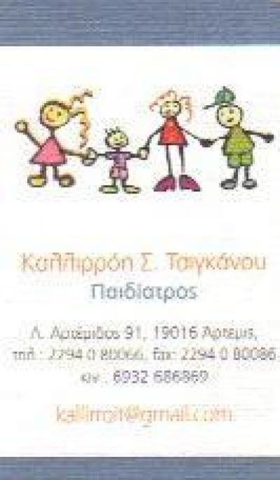 ΤΣΙΓΚΑΝΟΥ ΚΑΛΛΙΡΟΗ Σ.