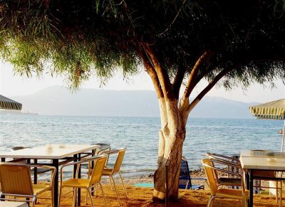 ΤΑΒΕΡΝΑ ΑΛΥΚΕΣ – ΒΟΥΡΓΙΔΗΣ ΙΩΑΝΝΗΣ