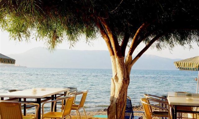 ΤΑΒΕΡΝΑ ΑΛΥΚΕΣ – ΒΟΥΡΓΙΔΗΣ ΙΩΑΝΝΗΣ