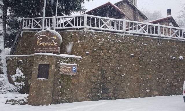 ΞΕΝΩΝΑΣ ΕΠΑΥΛΙΣ – ΠΑΝΟΠΟΥΛΟΣ ΦΩΤΗΣ