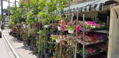 ΓΕΩΠΟΝΙΚΗ ΙΩΑΝΝΗΣ ΜΠΑΡΜΠΑΡΑΚΗΣ ΜΟΝ ΙΚΕ